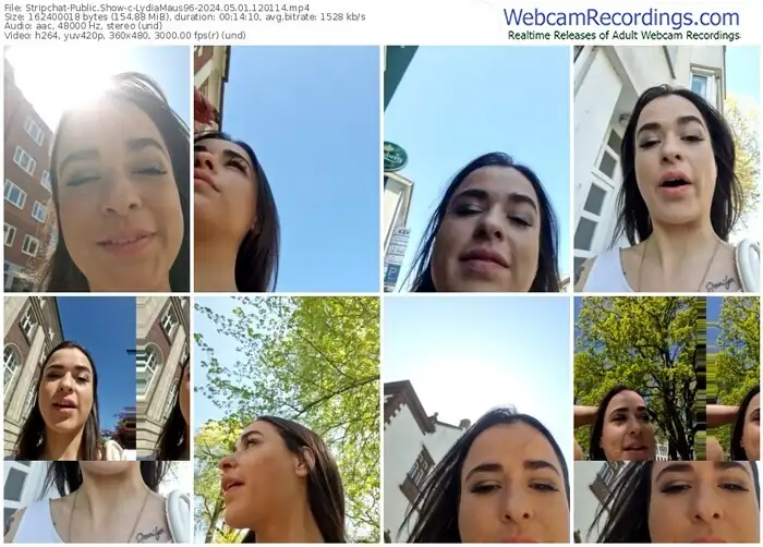 stripchat-lydiamaus96-05-01-2024-12-01-14