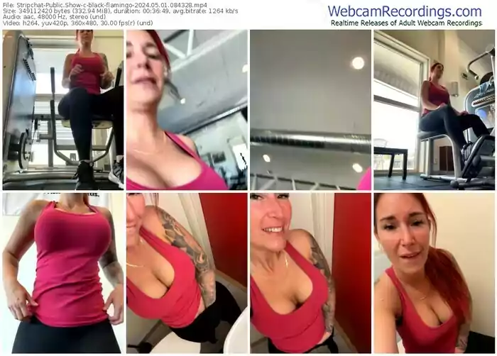 stripchat-black-flamingo-05-01-2024-08-43-28