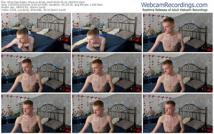 stripchat-endo_wolf-05-01-2024-09-43-02