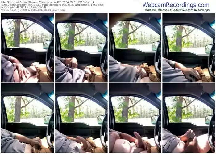 stripchat-themechanic420-05-01-2024-15-38-03