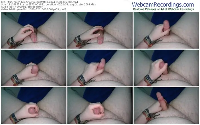 stripchat-eristoff89-05-01-2024-05-40-03