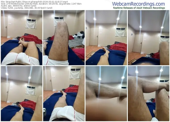 stripchat-pharaoh00-05-01-2024-01-01-27