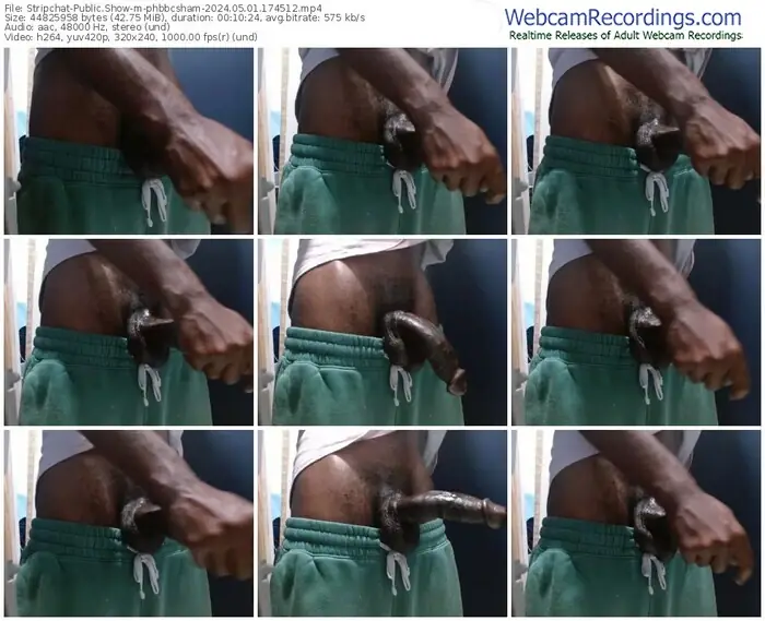 stripchat-phbbcsham-05-01-2024-17-45-12