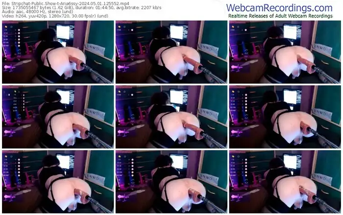 stripchat-aria6ssy-05-01-2024-12-55-52