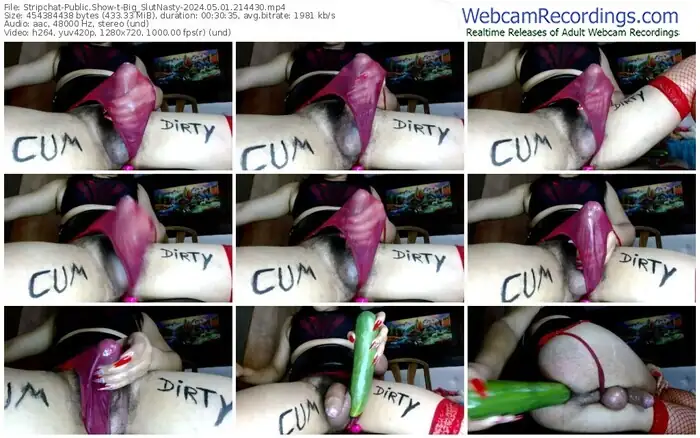 stripchat-big_slutnasty-05-01-2024-21-44-30