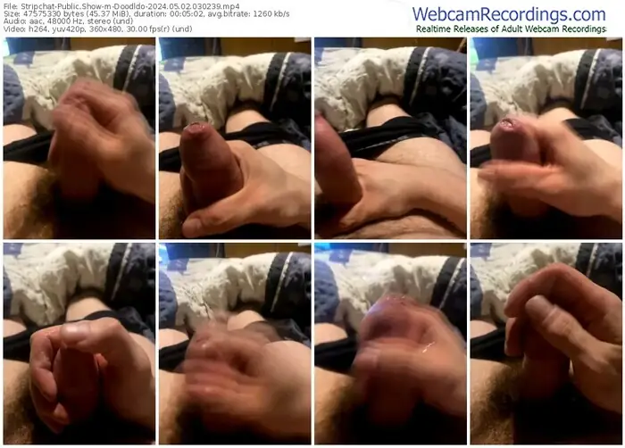 stripchat-doodldo-05-02-2024-03-02-39