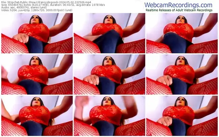 stripchat-francysbigcock-05-02-2024-22-25-09