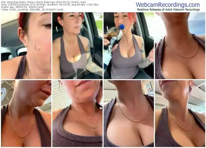 stripchat-black-flamingo-05-03-2024-10-18-11