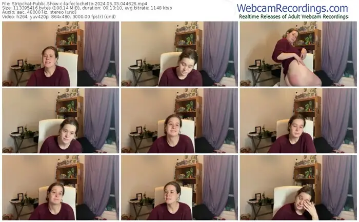 stripchat-la-feclochette-05-03-2024-04-46-26