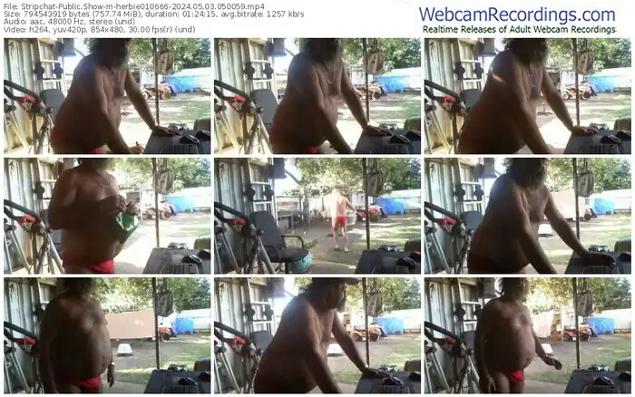 stripchat-herbie010666-05-03-2024-05-00-59