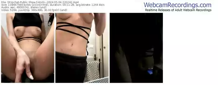 stripchat-anigi--05-04-2024-22-02-42