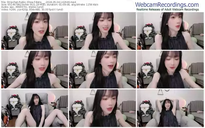 stripchat-beta___-05-04-2024-14-26-46