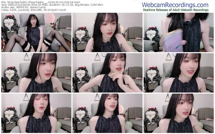 stripchat-beta___-05-04-2024-15-41-44