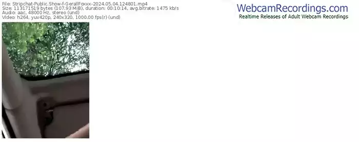 stripchat-gerallfoxxx-05-04-2024-12-48-01