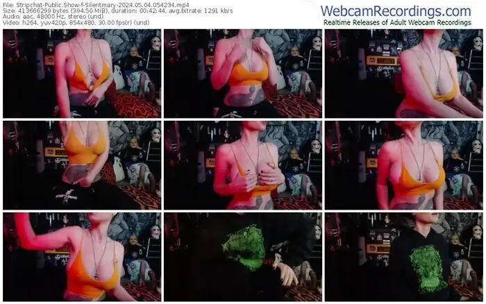 stripchat-silentmary-05-04-2024-05-42-34