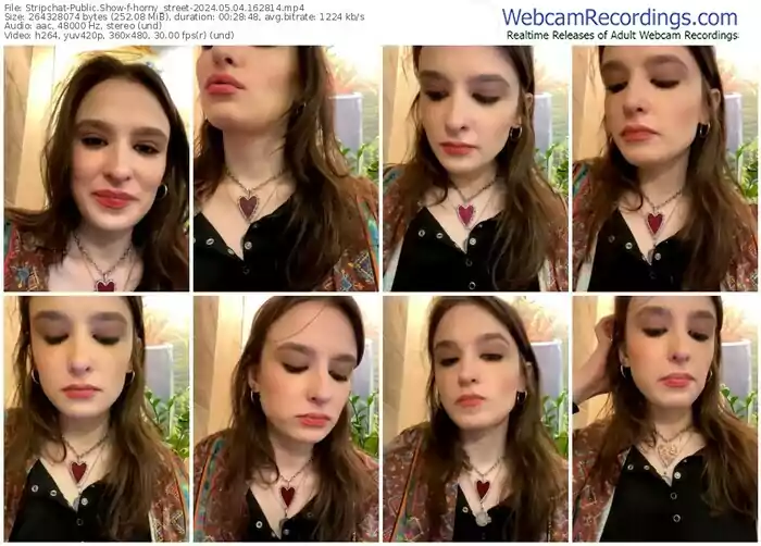 stripchat-horny_street-05-04-2024-16-28-14