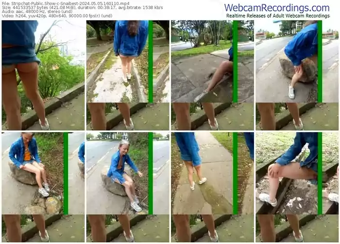 stripchat-snaibest-05-05-2024-16-01-10