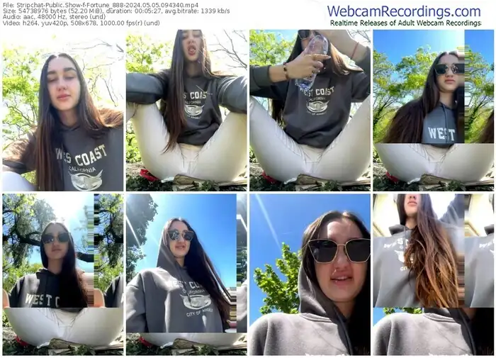 stripchat-fortune_888-05-05-2024-09-43-40