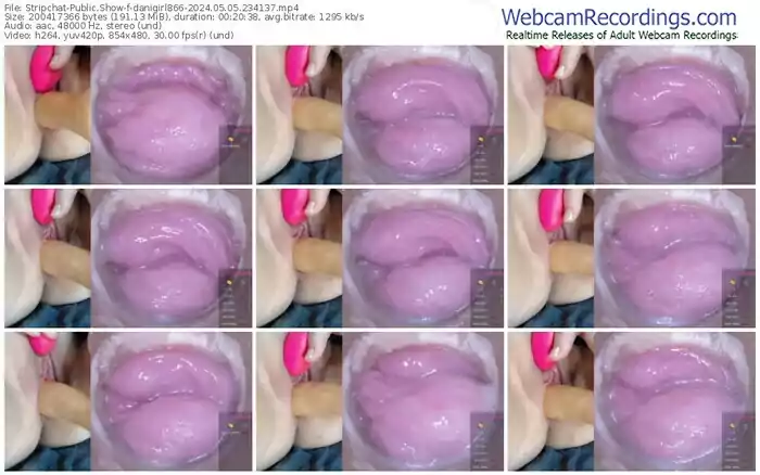 stripchat-danigirl866-05-05-2024-23-41-37
