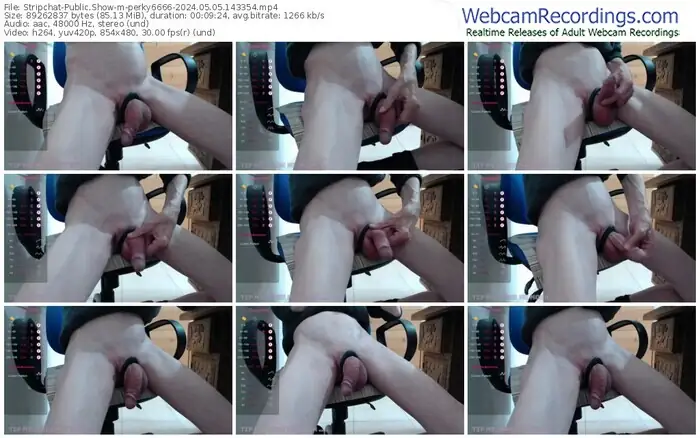 stripchat-perky6666-05-05-2024-14-33-54