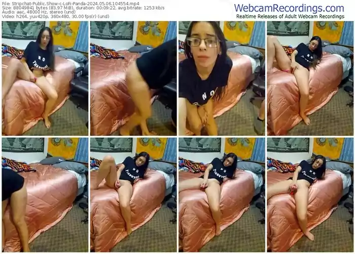 stripchat-lofi-panda-05-06-2024-10-45-54