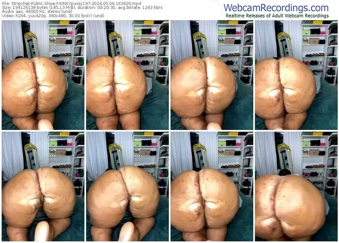 stripchat-kinkypussycat-05-06-2024-16-36-26