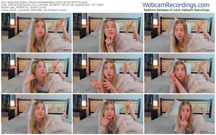 stripchat-noreenhatter-05-06-2024-00-37-52