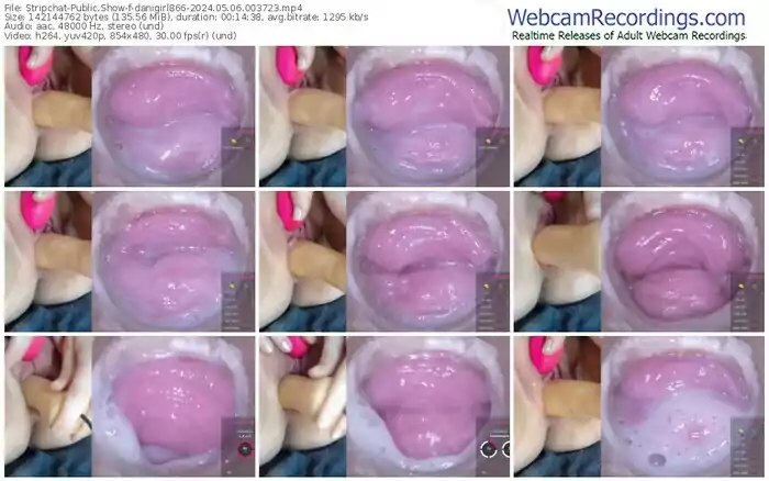 stripchat-danigirl866-05-06-2024-00-37-23