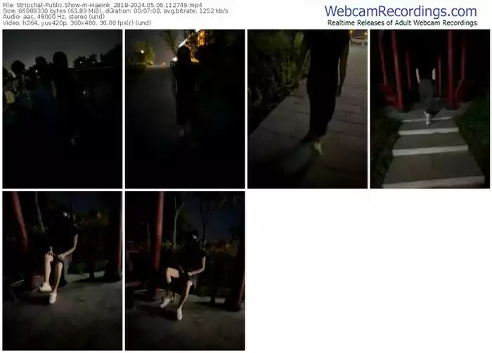 stripchat-haeink_2818-05-06-2024-11-27-49