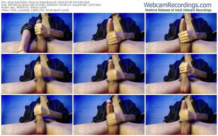 stripchat-tomybigcock-05-06-2024-00-19-29