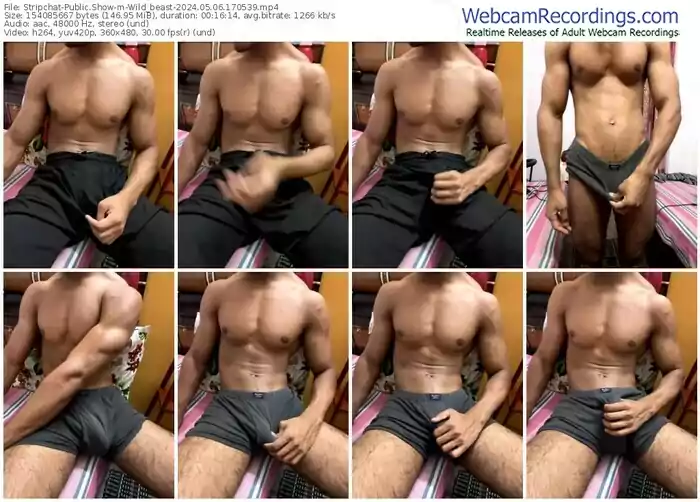 stripchat-wild_beast-05-06-2024-17-05-39