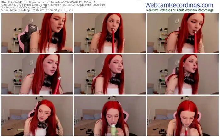 stripchat-chamomilecoalas-05-08-2024-12-42-00