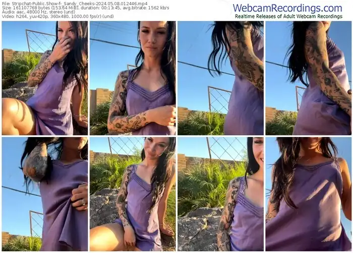 stripchat-_sandy_cheeks-05-08-2024-01-24-46