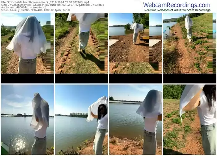 stripchat-haeink_2818-05-08-2024-08-21-03