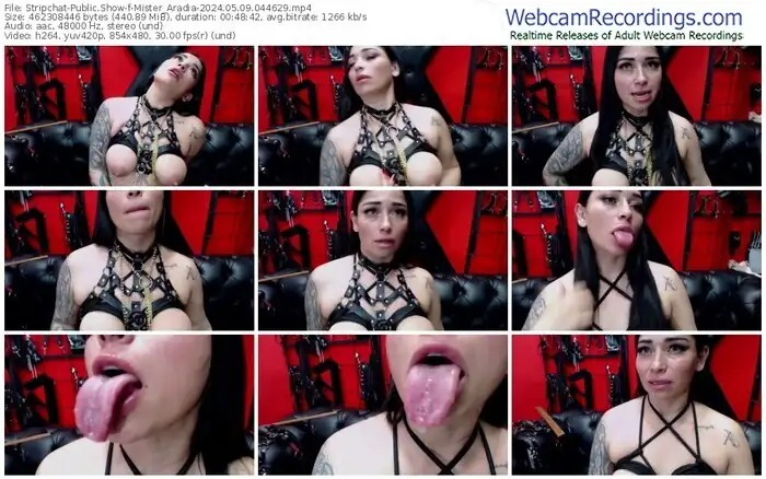 stripchat-mister_aradia-05-09-2024-04-46-29