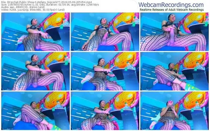 stripchat-stefany_bigcock77-05-09-2024-20-53-54