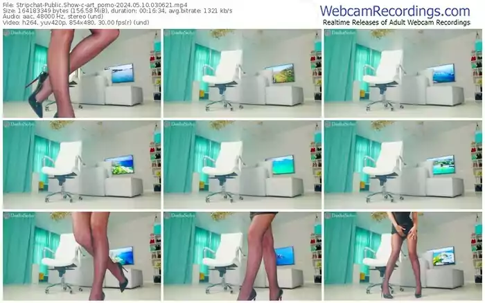 stripchat-art_porno-05-10-2024-03-06-21