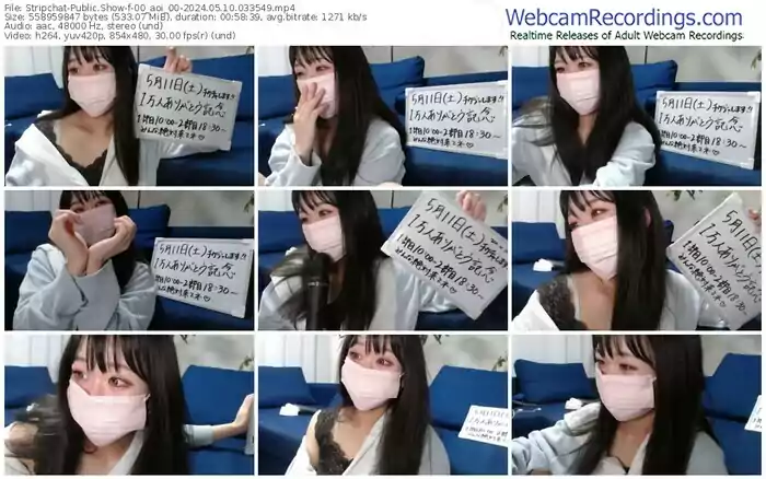 stripchat-00_aoi_00-05-10-2024-03-35-49