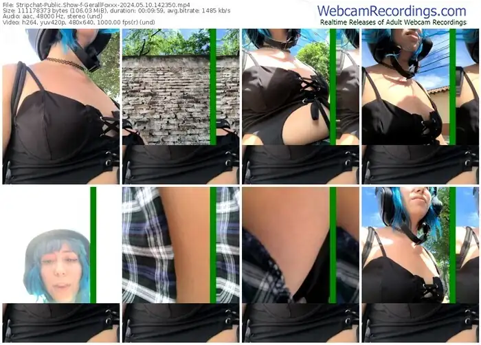 stripchat-gerallfoxxx-05-10-2024-14-23-50