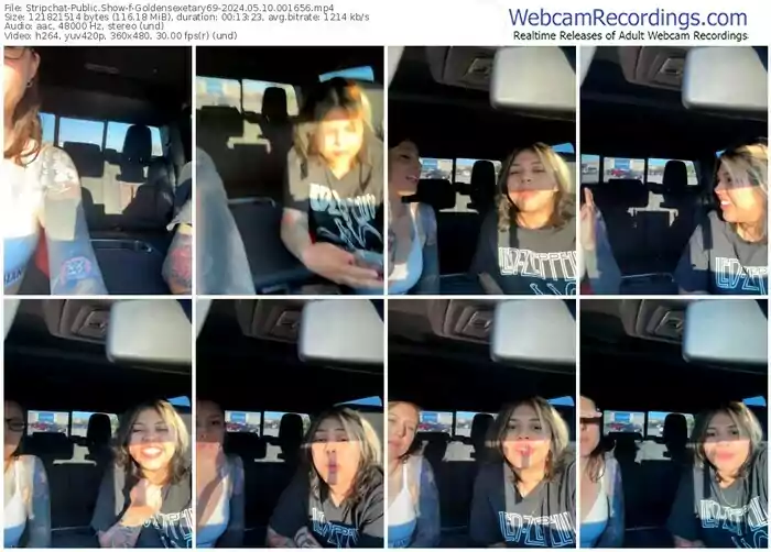 stripchat-goldensexetary69-05-10-2024-00-16-56