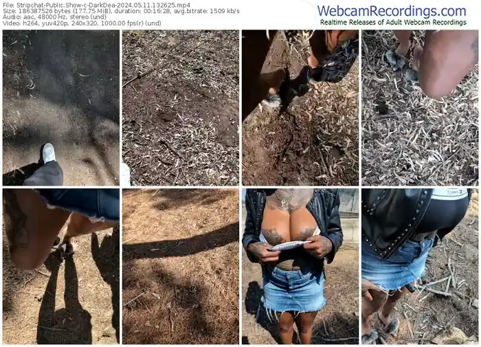 stripchat-darkdea-05-11-2024-13-26-25