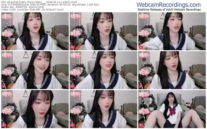 stripchat-beta___-05-11-2024-14-36-51