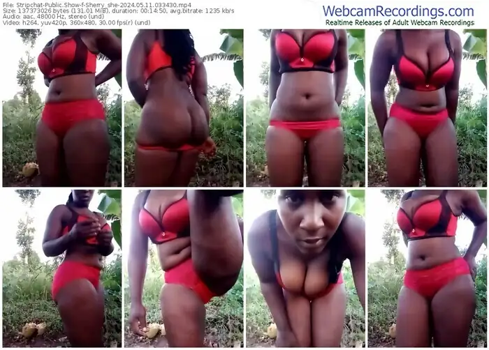 stripchat-sherry_she-05-11-2024-03-34-30