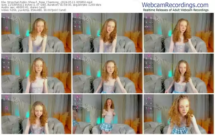 stripchat-_rose_charming_-05-11-2024-00-58-50