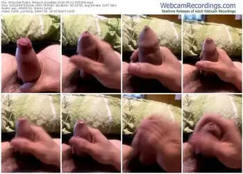 stripchat-doodldo-05-11-2024-09-53-58