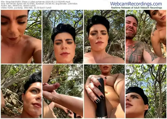 stripchat-lukelouharvey-05-12-2024-03-24-45