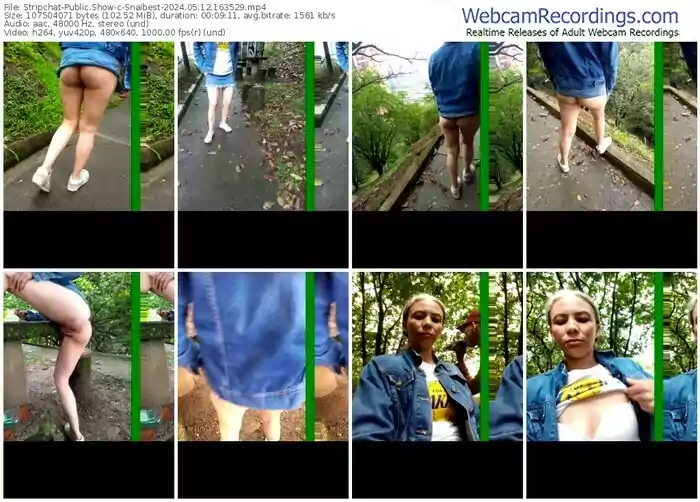 stripchat-snaibest-05-12-2024-16-35-29