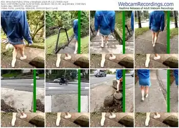 stripchat-snaibest-05-12-2024-17-44-03