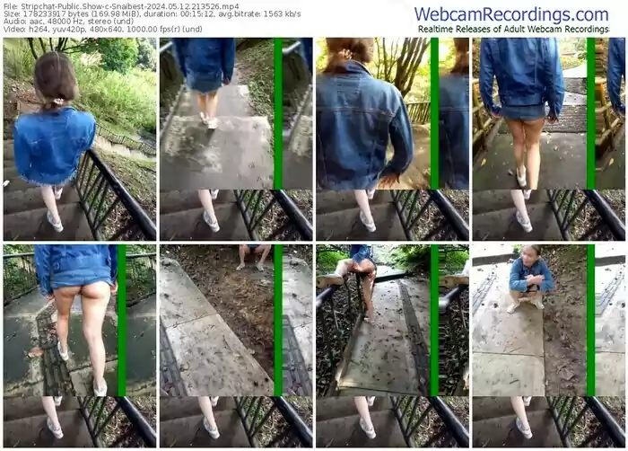 stripchat-snaibest-05-12-2024-21-35-26