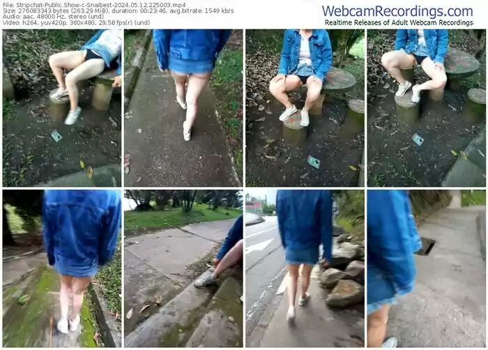 stripchat-snaibest-05-12-2024-22-50-03